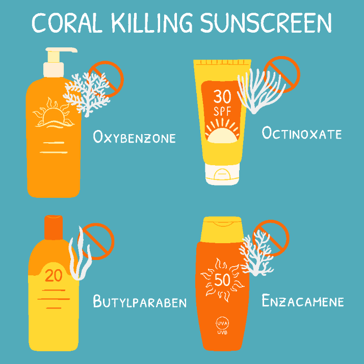 The importance of eco-friendly sunscreen for our environment and the ocean