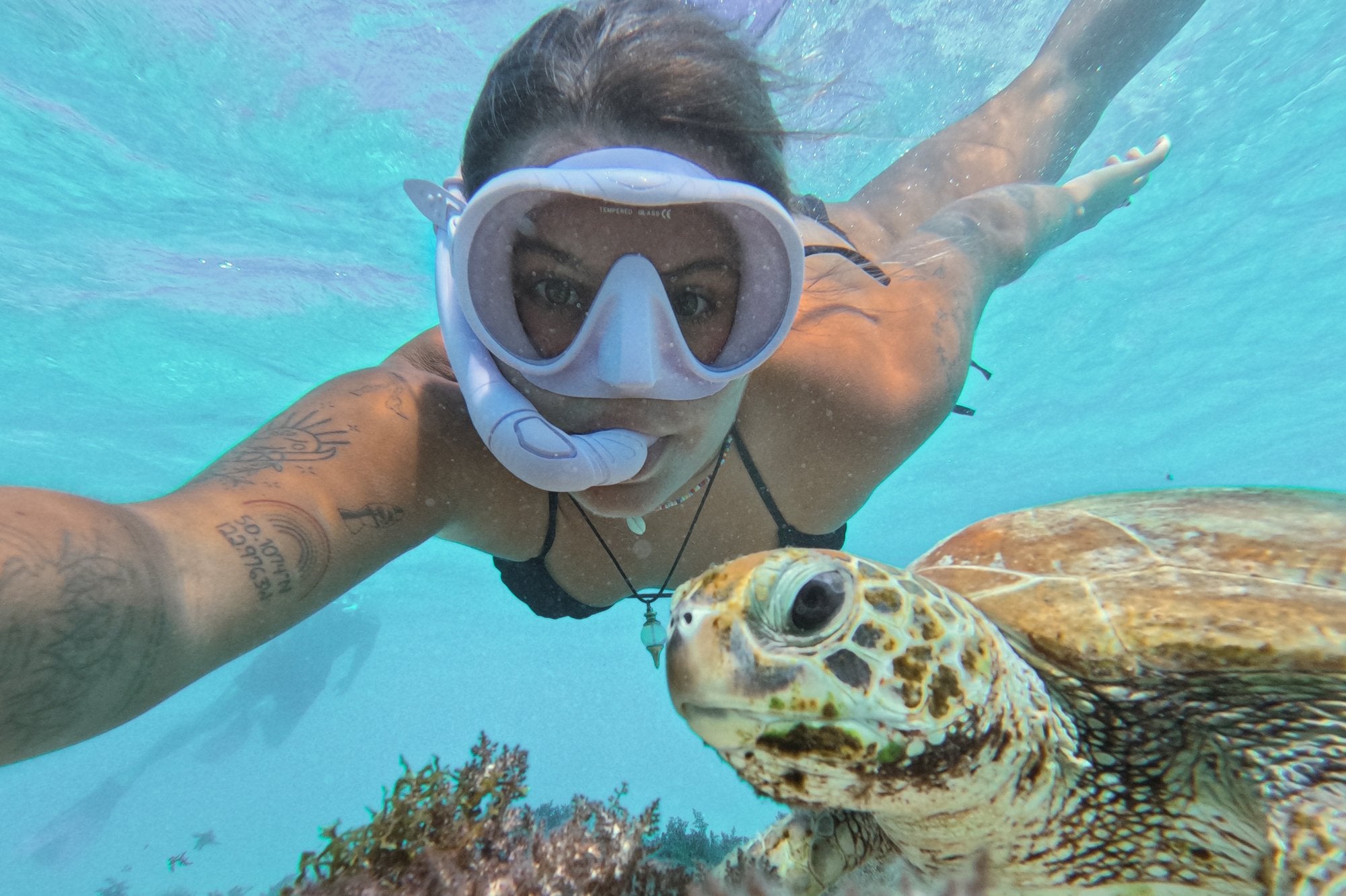 Snorkel - Sunny Bliss - Australia