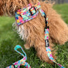 Bebe Luxe - Tutti Frutti Leash - Sunny Bliss - Australia