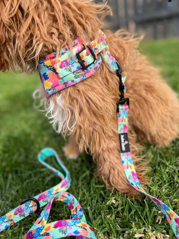 Bebe Luxe - Tutti Frutti Harness - Sunny Bliss - Australia