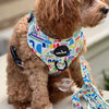 Bebe Lux Squiggle Cracker Dog Harness - Sunny Bliss - Australia