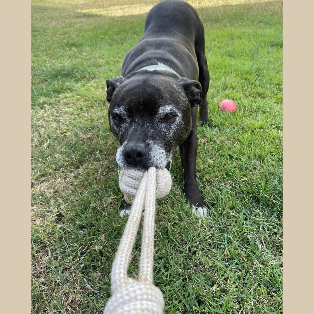 Bobbies Bowwow Hemp Rope Toy with Chew Ball and Handle - Sunny Bliss - Australia