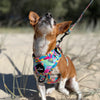 Bebe Luxe - Tutti Frutti Harness - Sunny Bliss - Australia